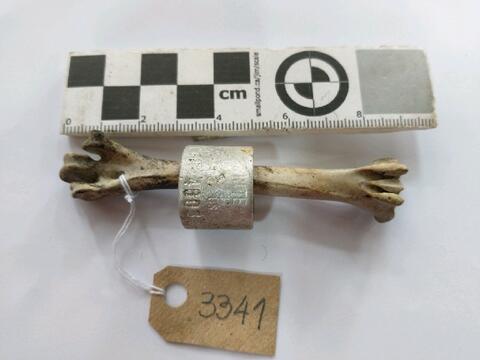 Original Digital object not accessible