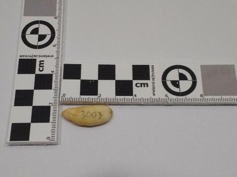 Original Digital object not accessible