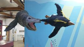 Foca leopardo y pingüino penacho amarillo