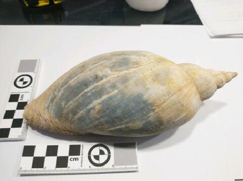 Original Digitaal object not accessible
